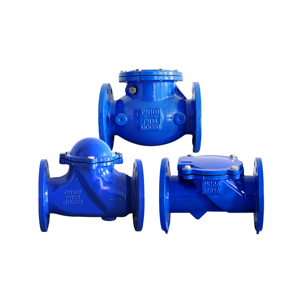 Check Valve